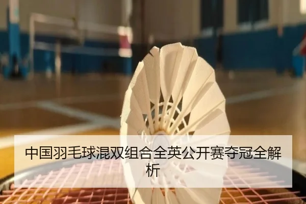 中国羽毛球混双组合全英公开赛夺冠全解析 - QIYIGUO